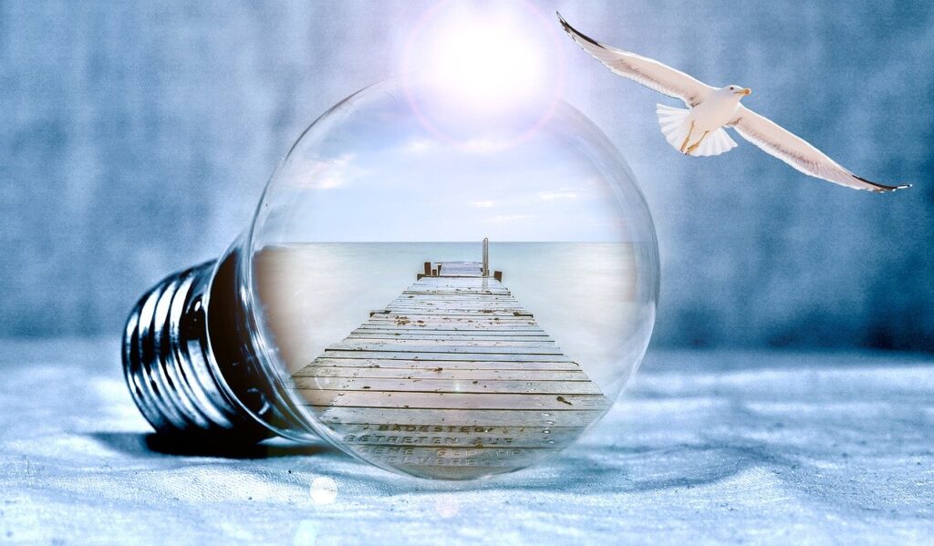 light bulb, seagull, sea